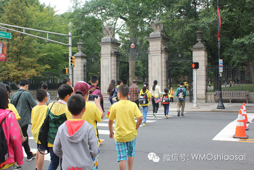 走进普林斯顿大学